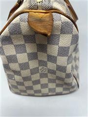 LOUIS VUITTON BAG - VARIETY